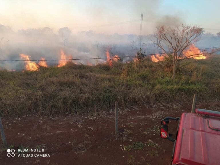 Bombeiros combatem incêndio em vegetação às margens da MG 170 em Arcos