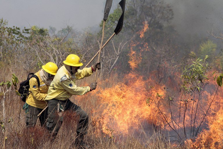 Arcos Enfrenta Aumento de Incêndios Florestais: Preocupação e Ação
