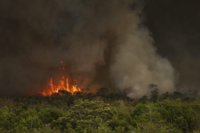 Incêndio de grandes proporções atinge área de processamento de lixo em Arcos