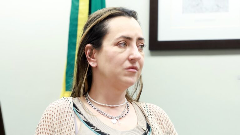 Deputada Rosangela Moro pede atendimento do SUS para pais de bebês Reborn