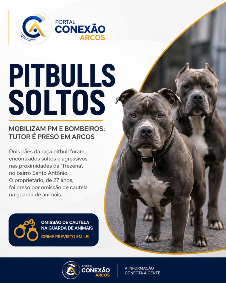 Pitbulls soltos mobilizam PM e Bombeiros; tutor é preso em Arcos